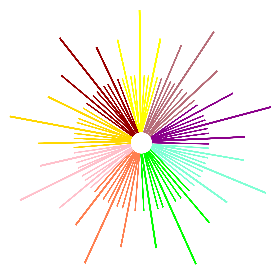 Enneasoma