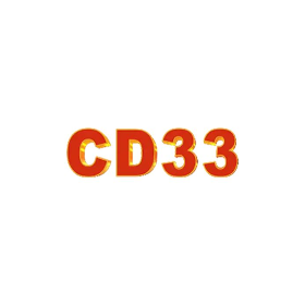 playcd33