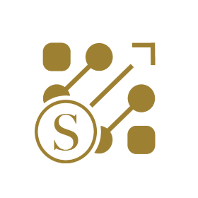 Steidler - Digital Consulting